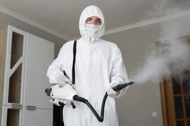 Why You Should Choose Our Mold Remediation Services in Troy, NC