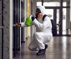 Biohazard Mold Removal in Troy, NC