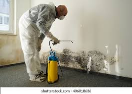 Best Environmental Consulting for Mold Prevention  in Troy, NC